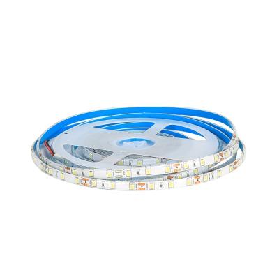 China High end new listing LANDSCAPE smart smd 4040 led lights for room decoration strip light for sale