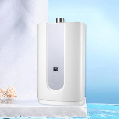 China Outdoor Hot Selling Product Mini Water Heater Anti Freezing Protection Rheem Water Heater for sale