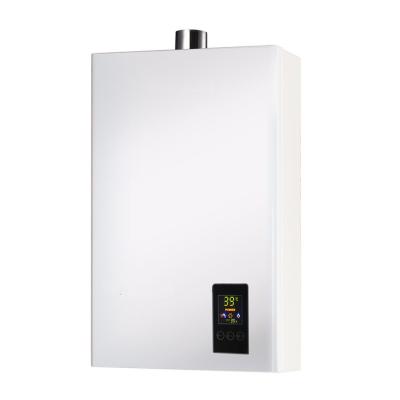 China Gas Water Heater Low Pressure Anti Freezing Protection Outdoor Custom Standard Water Heater for sale