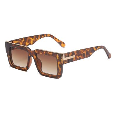 China Wholesale Light Leopard AC Lens PC Frame UV400 PC Frame Travel Square Fashion Square Women Simple Outdoor Sunglasses Europe and America Retro for sale