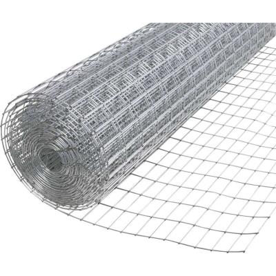 China Plain Weave 14GA 1x2 Galvanized Netting Welded Chicken Wire Mesh Fence for sale