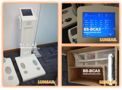 China Professional body fat analyzer composite/body fat and muscle analyzer with bioimpedance for sale