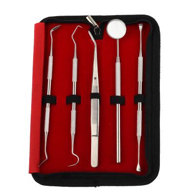 China Durable Dental Cleaning Kit Dental Picks Oral Care Hygiene Tool Kit Dental Picks Set Stainless Steel Dentist Tools 5pcs for sale