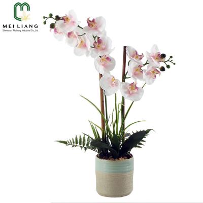 China Minimalist hot products with competitive price factory wholesale real touch artificial orchid arrangements in ceramic vase for sale