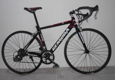 China 700C 14 Speed ​​Steel Alloy Sport Bicycle, Racing Bike, Road Bike for sale