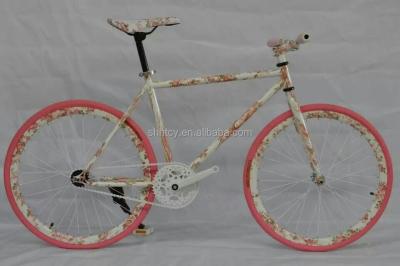 China 700C Steel Fixed Gear, Fixed Gear Bike, Sport Bike Expedition and Handling - SR018 for sale