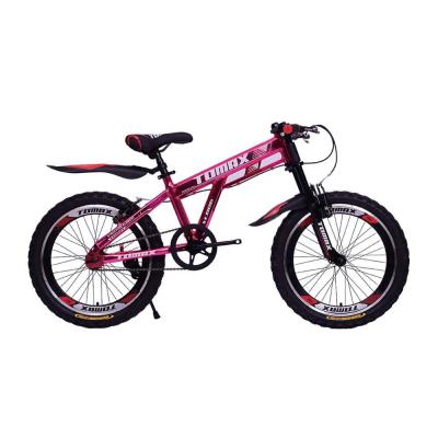 China 20MT18SteelShipping and Handling 15 20 Inch Mountain Steel Bicycle with Double Crown Suspension Fork for sale