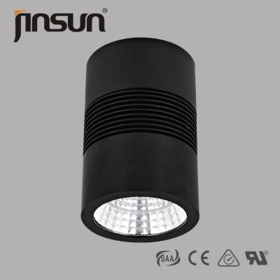 China 20w 89mm diameter 140mm height COB light source LED surface mounted downlight for sale