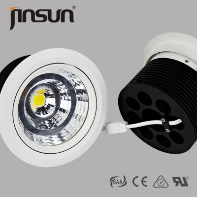 China 180 degree adjustable downlight used for resedential/home/office/hotels decor for sale