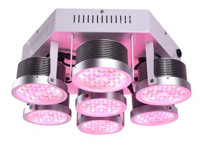 Chine Pleins Spectrum250W à haute production LED se développent légers pour des plantes médicinales Vegwtable et fleurissent usine d'intérieur 3 ans de garantie à vendre