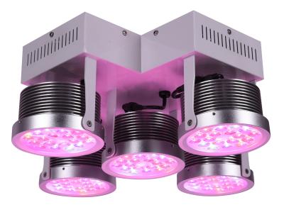 Chine 3yrsHigh plein Spectrum250W efficace LED se développent légers pour des plantes médicinales Vegwtable et fleurissent usine d'intérieur 3 ans de garantie à vendre