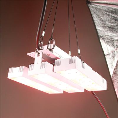 China Black WH 100W 90degree adjustable plant lightt LED Grow Light for Medical Plants led Plant hanging plant light, Te koop