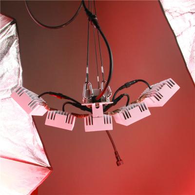 中国 Top quality led  plant lightt LED Grow Light for fruit  hanging plant light,， vegetable lights , adustable  light 販売のため