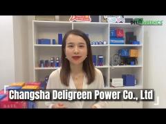 Deligreen Power Co., Ltd. - How To Choose Battery Supplier