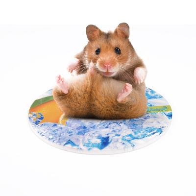 China Small Animal Cooling Summer Provides Heat Absorption Hamster Ceramic Ice Cooling Pad for sale