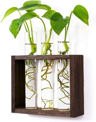 China Viable Wooden Vase Planters in Retro Wooden Frame with Greenhouse Windowsill Table Accessories, Wedding, Kitchen, Dining Table Hundred for sale