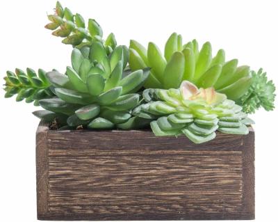 China Modern Matching Artificial Succulent with Square Brown Woodland Pot for sale