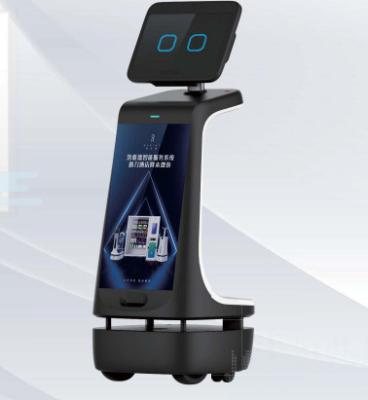 China Commercial Intelligent Reception Service Robot for sale