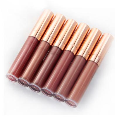 China New Waterproof Liquid Lip Gloss Long Lasting Moisturizing Cosmetic Lip Gloss for sale