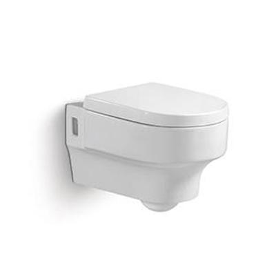 China Western Automatic Operation Auto Operation Washdown Around Smart Toilet for sale