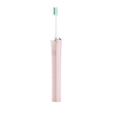 China Sonic Toothbrush Waterproof Rechargeable Electric Toothbrush 25.5*3*3cm for sale