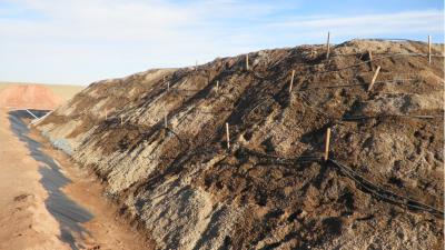 China Equipo de la preparación de menas de la planta de la flotación de Cyanide del oro en venta