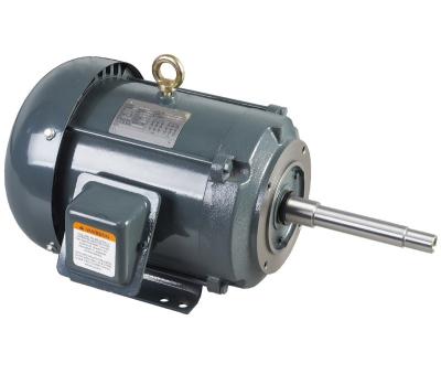 China TEFC Three Phase NEMA AC JP Pump Motor for sale