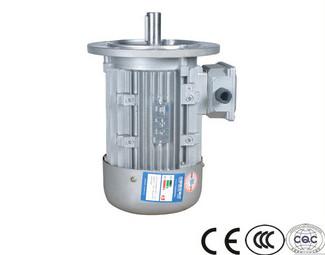 China high quality IP55 high efficient water pump three phase induction squirrel cage ventilation motoren with brake for sale