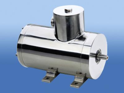 China IEC stainless steel motor for sale