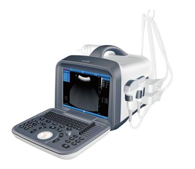 China Low Price B/W Abdomen Ultrasound Equipment Portable Mode Ultrasound Diagnostic Devices Qincare-A60 B for sale