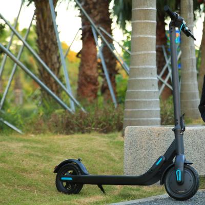 China Quik Folding Battery Unisex Scooter 250W Motor 8.5 Inch Solid Wheel China Electric Scooter for sale