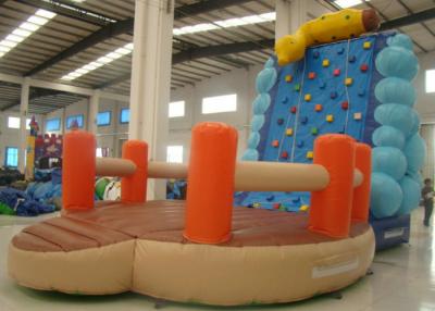 China Indoor Caterpillar Inflatable Rock Climbing Wall Playground Fire Resistance for sale