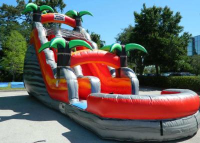 China Colorful Backyard Tropical Inflatable Water Slide With 5 Years Warranty for sale