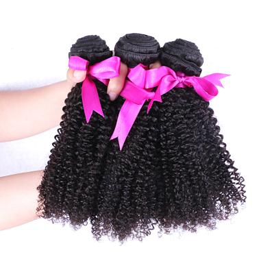 China Cheap Curly Virgin Raw Indian Hair Bundle , 100% Unprocessed Human Hair Bundle for sale