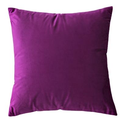 China Home Decor Solid Color Anti-static Super Soft Velvet Pillowcase Sofa Living Room Luxury Velvet Cushion Covers for sale