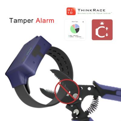 China Positioning Tamper Proof Geo Fence Wristband With GPS Violator Tracker for sale