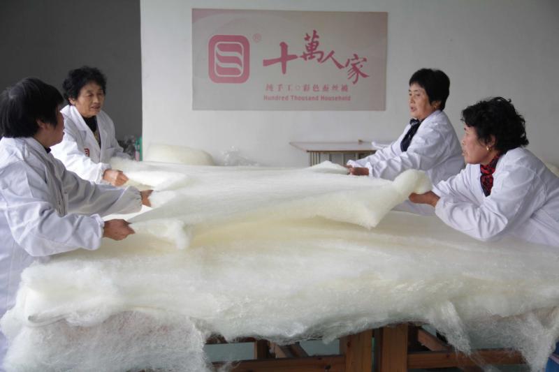 Verified China supplier - Huzhou Nanxun Shiwanrenjia Silk Technology Co., Ltd.