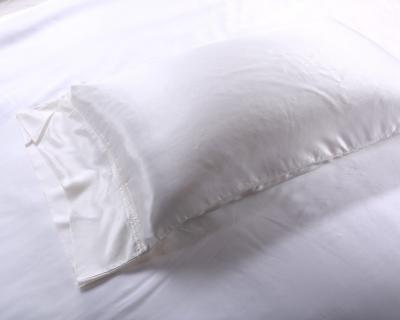 China China Wholesale Plain Disposable 100% Pure Silk Pillowcase / Mulberry Silk Pillow Case for sale