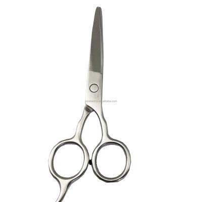 China Standard Scissors Professional Stainless Steel Salon Hair Scissors 6