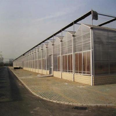 China Stable Structure Hot Selling comercial polycarbonate panels hydroponics greenhouse for farming for sale