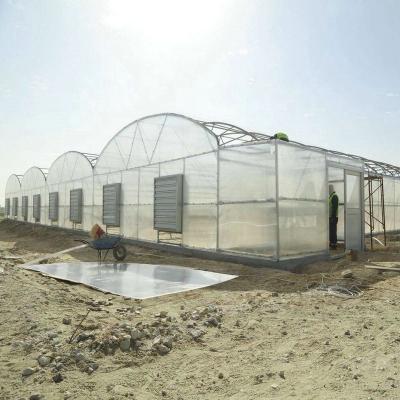 China Anti-windy Poly carbonate greenhouse for middle east countries for sale