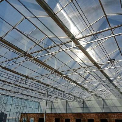 China Modern Appearance Commercial Greenhouse Agriculture Green House With Hydroponic Growing System For Sale for sale