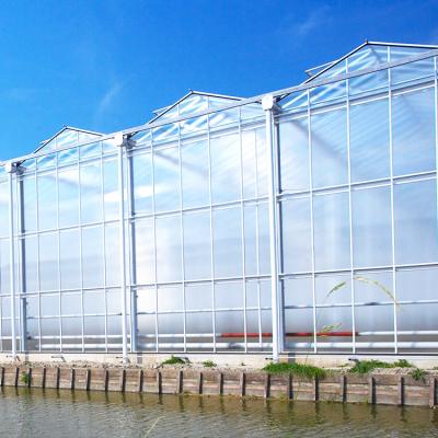 China Appearance Modern Commercial Strawberry Greenhouses Hydroponic Agriculture With Polycarbonate Sheet for sale