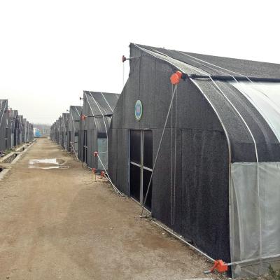 China Stable Structure Easily Assembled Commercial Low Tunnel Greenhouse For Mushroom For Sale Made In China for sale