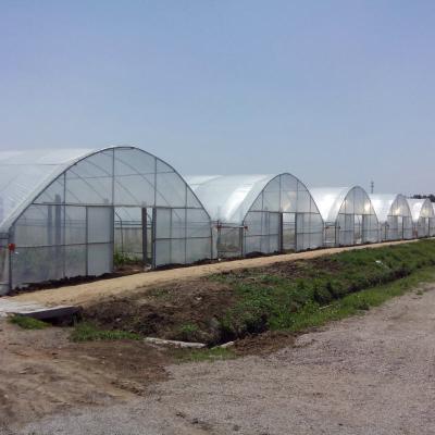 China Stable Structure Easily Assembled Low Cost High Quality Commercial Greenhouses Agriculture Used For Sale for sale