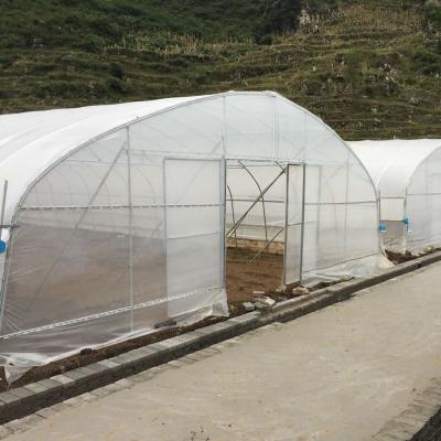 China Stable Structure Easily Assembled High Tunnel Greenhouses Agriculture Used For Roses Horticulture With Control System for sale