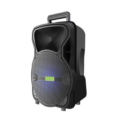 China Hot Selling Wireless Plastic Outdoor Trolley Speakers SVR Tower Speaker Wireless With RGB Light With CE Certificate for sale