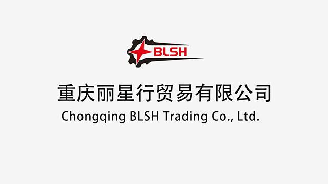 Verified China supplier - Chongqing BLSH Trading Co., Ltd.