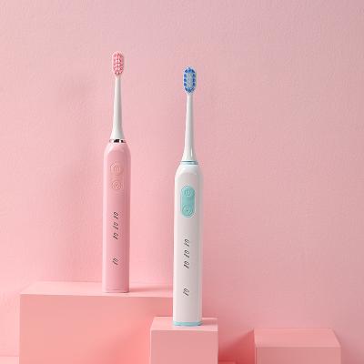 China Low Price High Quality Ultrasonic Electric Toothbrush ODM OEM Clean White Polish Fashionable Cleaning Electric Toothbrush 901 for sale