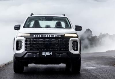 Chine Les voitures à essence 2.0 T avancées, les camionnettes diesel 4x4 manuelles 4x4 de type Elite à vendre